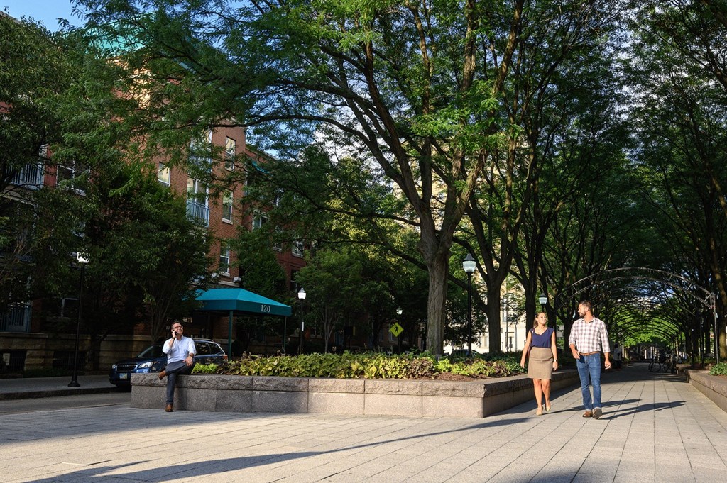 people walking on the sidewalk in a park