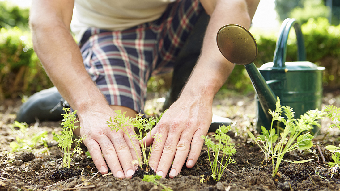 Community Garden