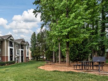 Outdoor views at Abberly Woods Apartment Homes by HHHunt, North Carolina