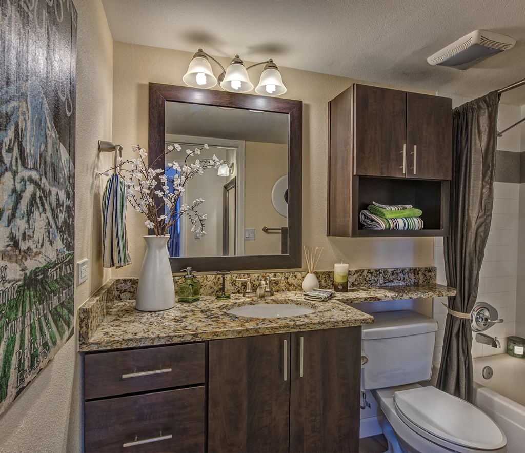 a bathroom with a toilet and a sink and a mirror