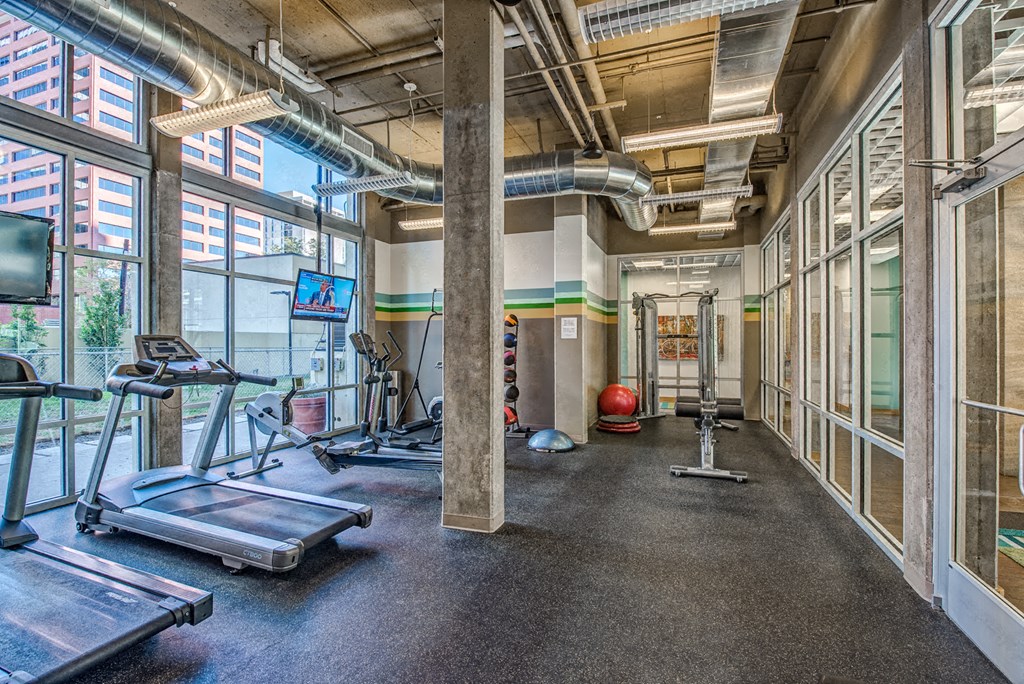 the gym atrium at the house