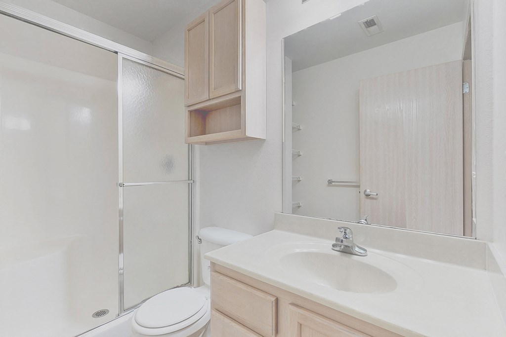 a bathroom with a sink and a shower and a toilet