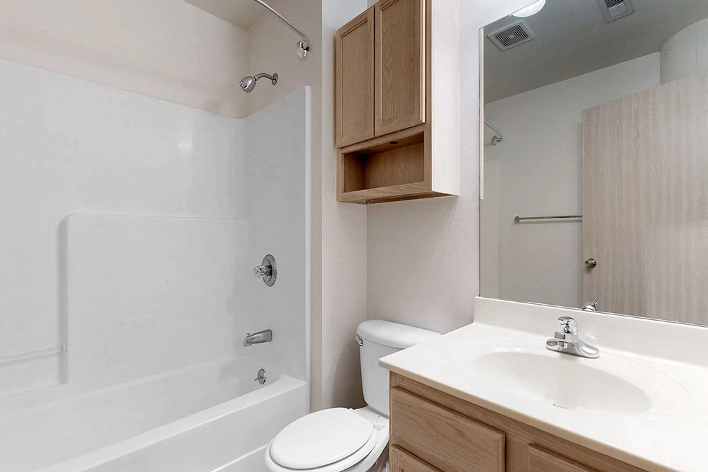 a bathroom with a sink and a toilet and a shower