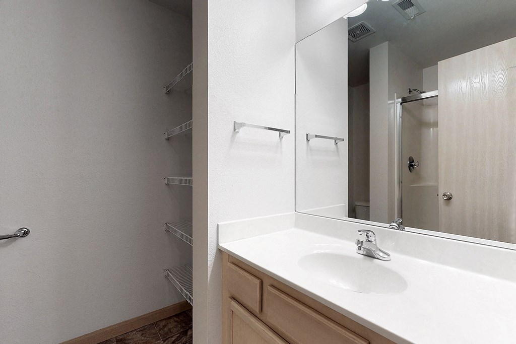 a bathroom with a sink and a mirror and a shower