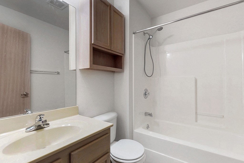 a bathroom with a sink and a shower and a toilet