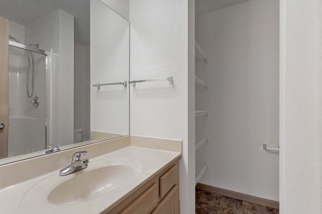 a bathroom with a sink and a mirror and a shower