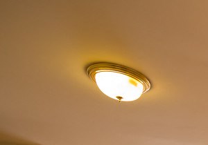 Millennium Homes 284 North Day Street Orange Nj Rentcafe