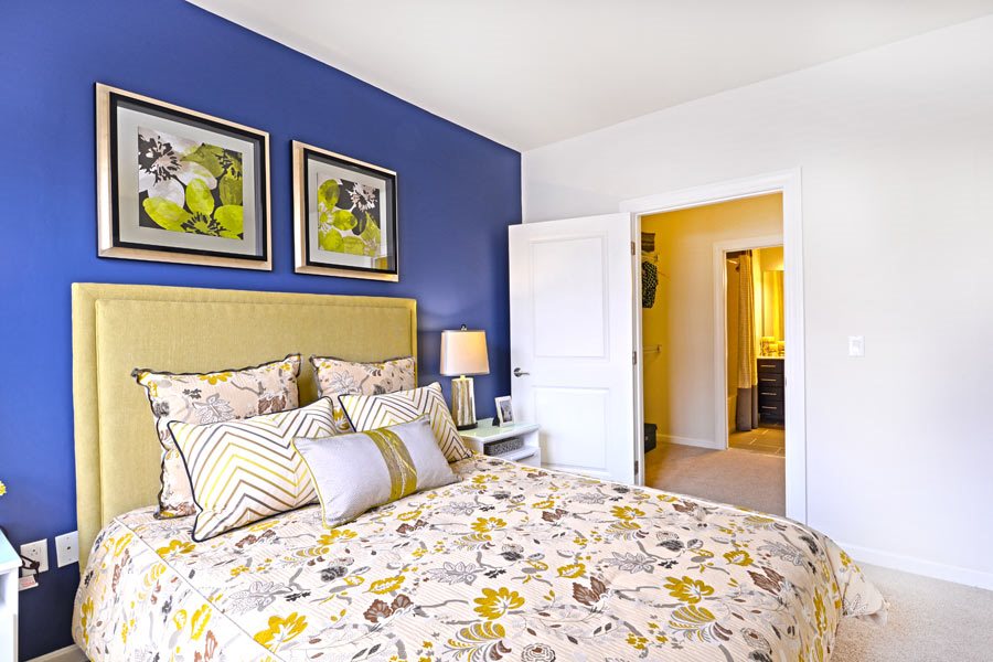Apartments For Rent In Watertown Boston Apartments For Rent In Watertown Boston