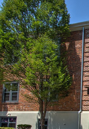 Trenton Watch Factory Apartments 720 Monmouth St