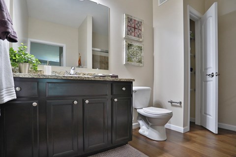 a bathroom with a sink and a toilet and a mirror