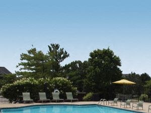 1180 Emerald Lakes Drive 1-2 Beds Apartment for Rent - Photo Gallery 2