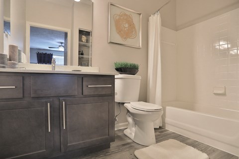 a bathroom with a toilet and a sink and a shower