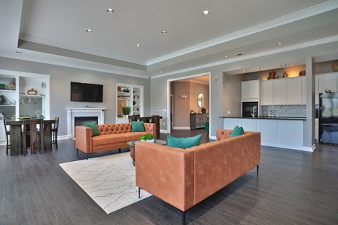A living room with a brown couch and a television.
