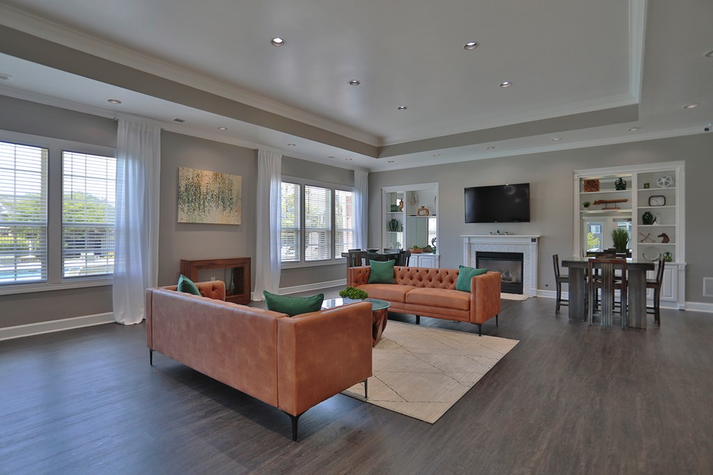A living room with a brown couch and a television.