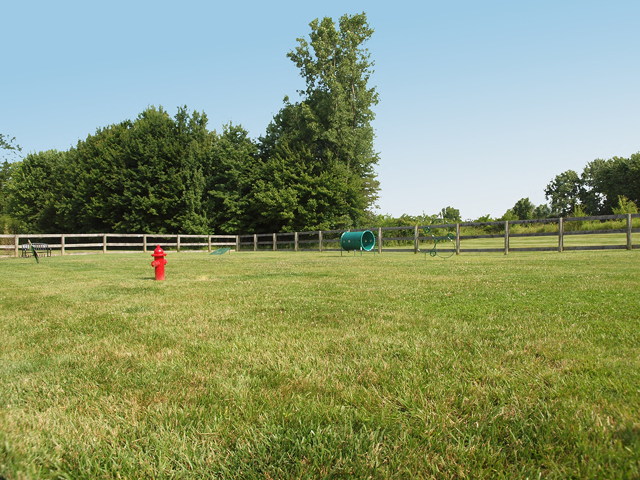 a red fire hydrant in the middle of a field
