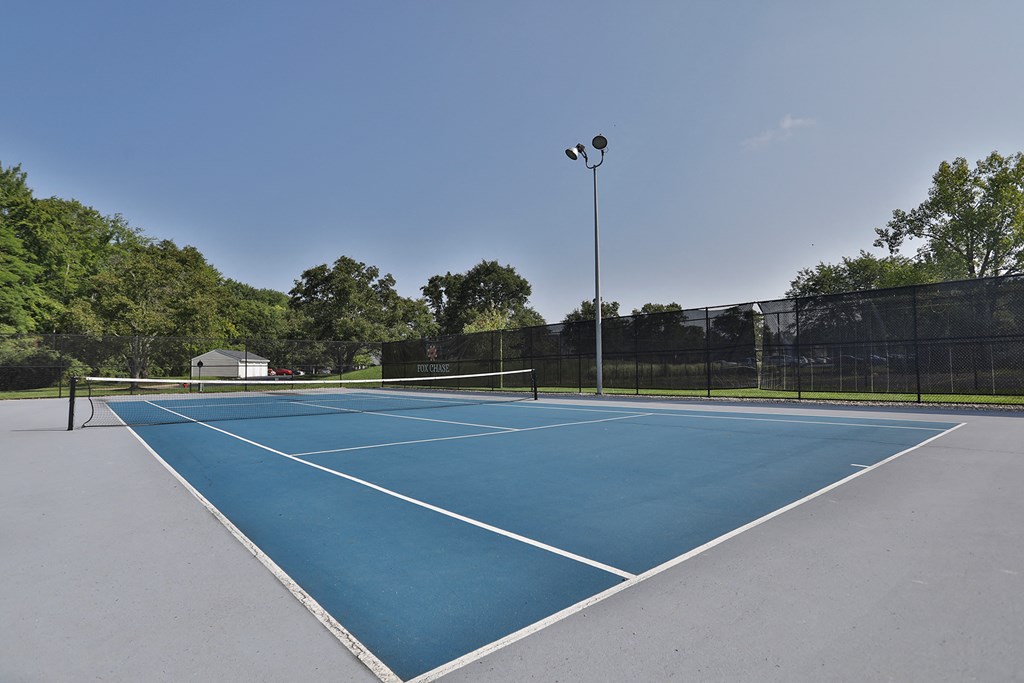 a tennis court with a fence and trees in the background