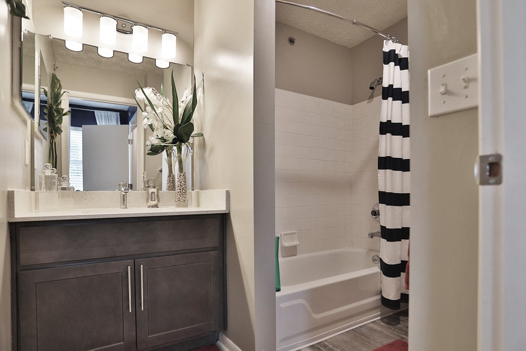 a bathroom with a sink and a shower and a mirror