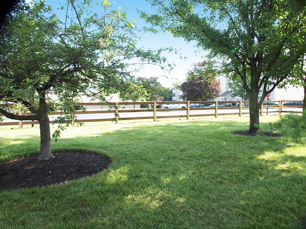 a view of a yard with trees and a fence