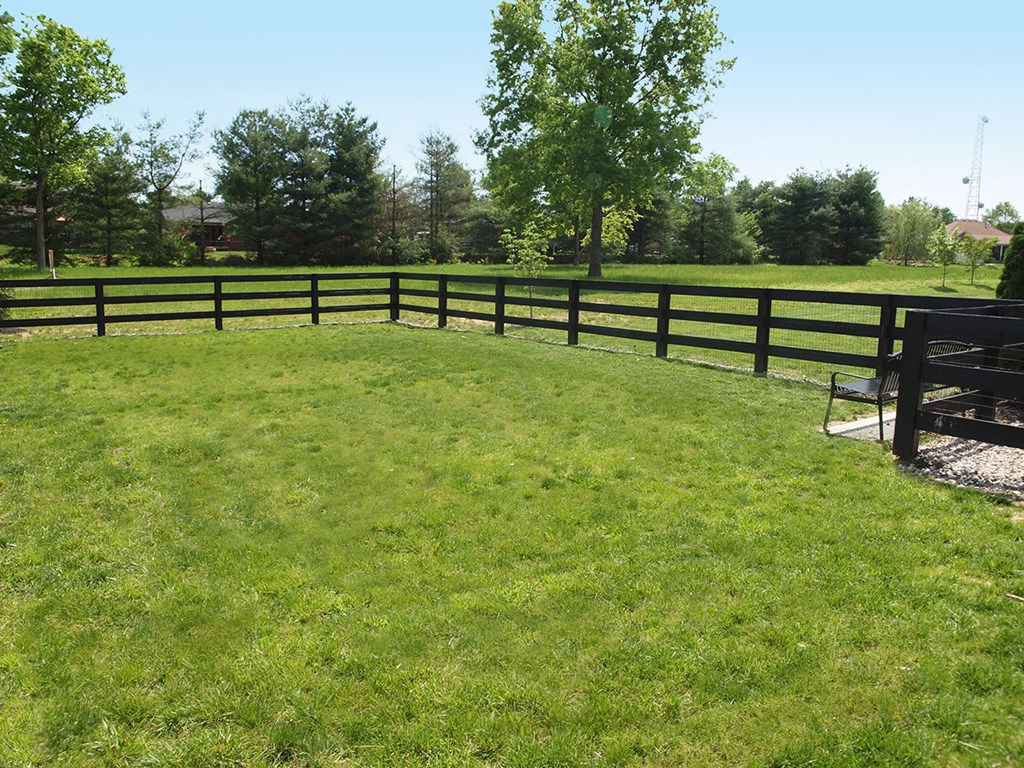 a pasture with a wooden fence and a bench