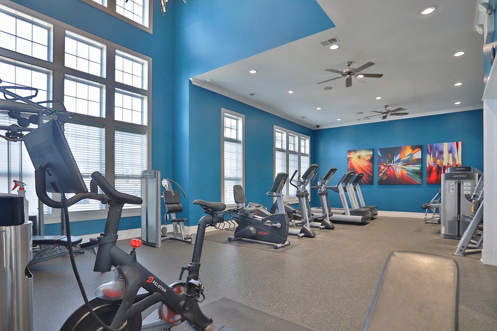 a gym with cardio exercise machines and windows