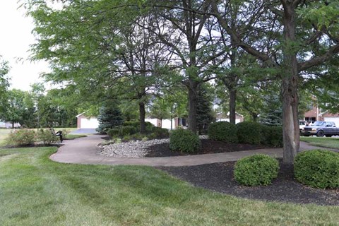 a street with trees and bushes and a driveway