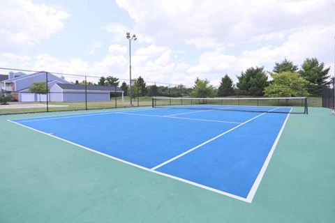 a blue tennis court with a fence and trees in the background