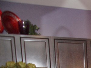 12900 Observation Circle 1-2 Beds Apartment for Rent - Photo Gallery 2