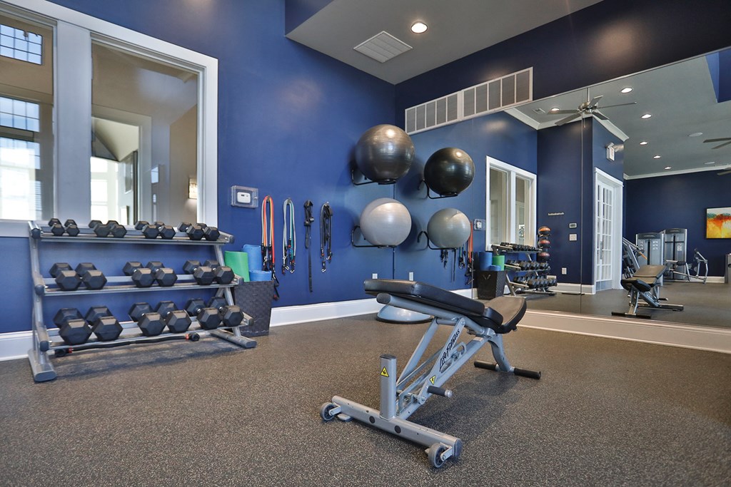 a fitness room with weights and balls on a rack and a chair in it