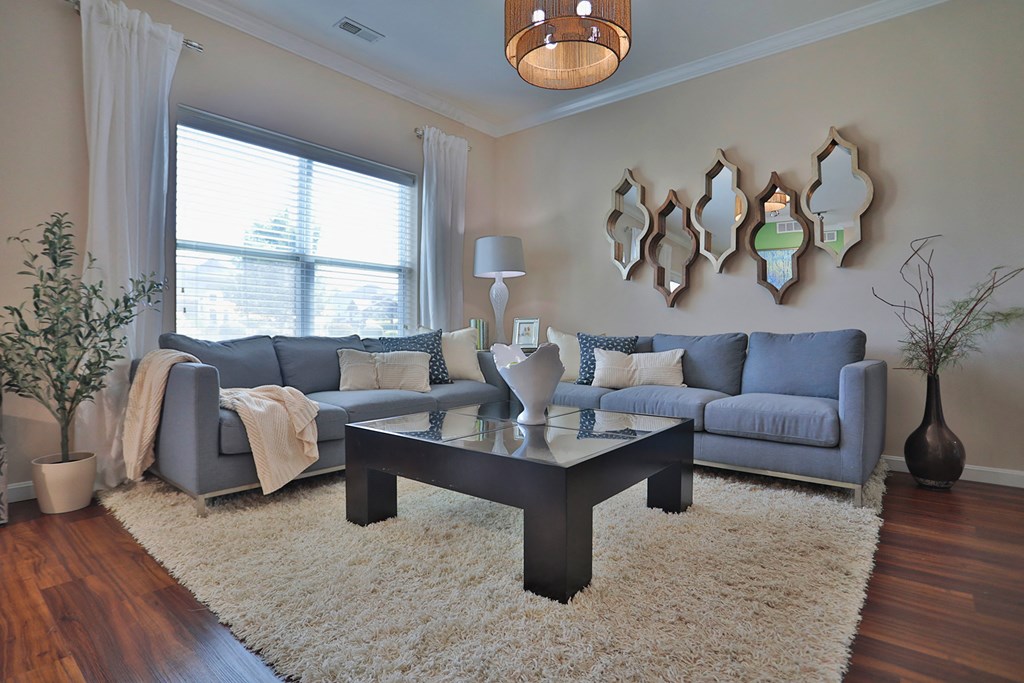 A living room with a grey couch, a white coffee table, and a white rug.