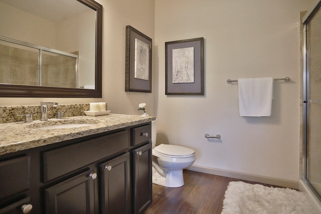a bathroom with a toilet and a sink and a mirror