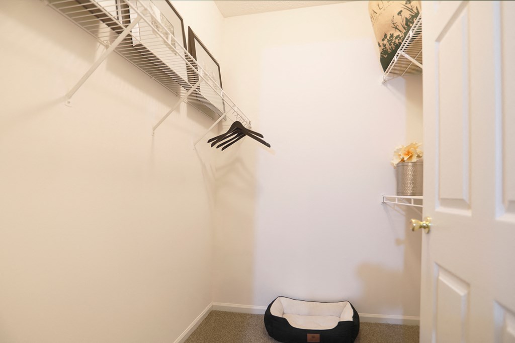 a room with a white wall and a closet with a black dog bed and a