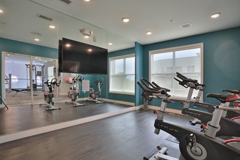 a gym with exercise equipment and a tv on the wall