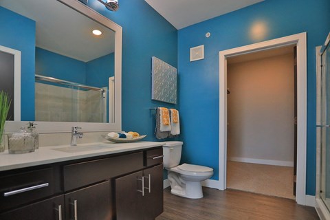 a bathroom with blue walls and a toilet and a sink