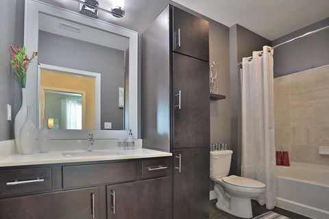 a bathroom with a sink and a toilet and a shower