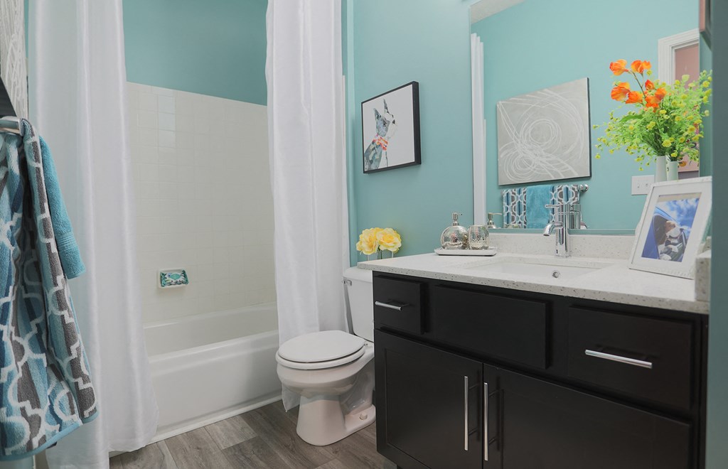 a bathroom with a sink and a toilet and a shower