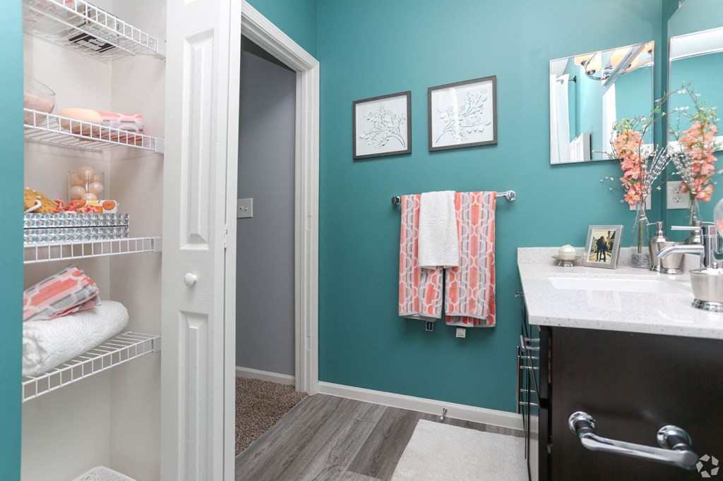a bathroom with a sink and a door to a closet