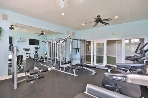 A well-equipped gym with a variety of exercise machines.