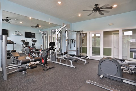 a gym with weights and cardio machines and a ceiling fan