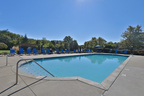 A large swimming pool surrounded by trees and blue lounge chairs.