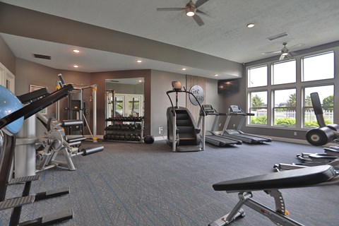 A spacious gym with a variety of equipment including a treadmill, weights, and a bench press.