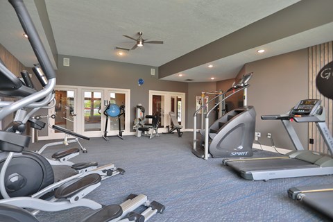 A gym with a variety of equipment including treadmills, weights, and a fan.
