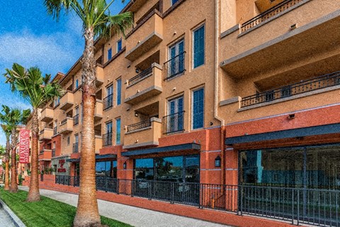 a building with a palm tree in front of it
