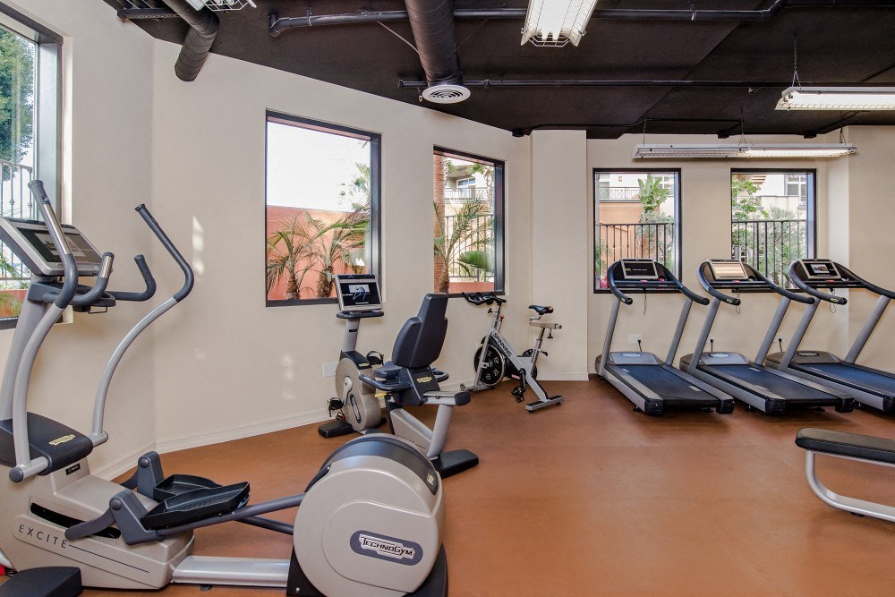 the gym has plenty of exercise equipment and windows