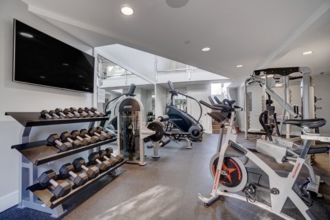 a gym with weights machines and a tv