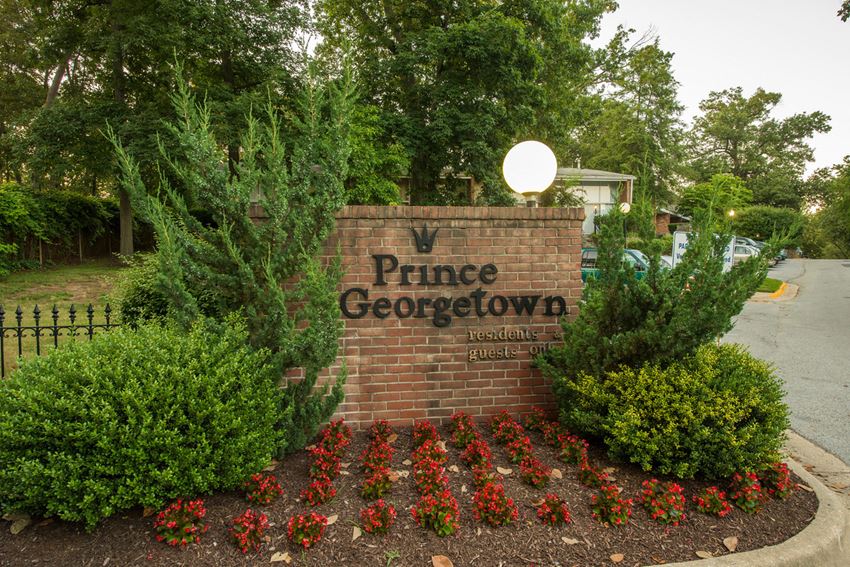 Prince Georgetown - Photo Gallery 1