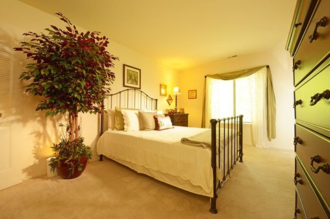 12100 H Little Patuxent Parkway 1-3 Beds Apartment for Rent