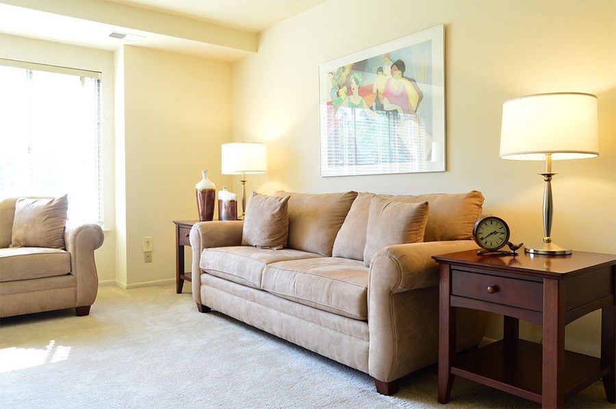 a living room with a couch and a chair