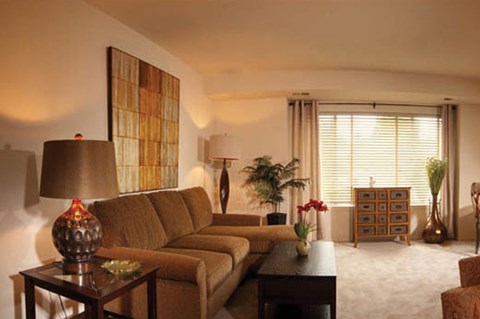 A living room with a brown couch and a lamp on a side table.