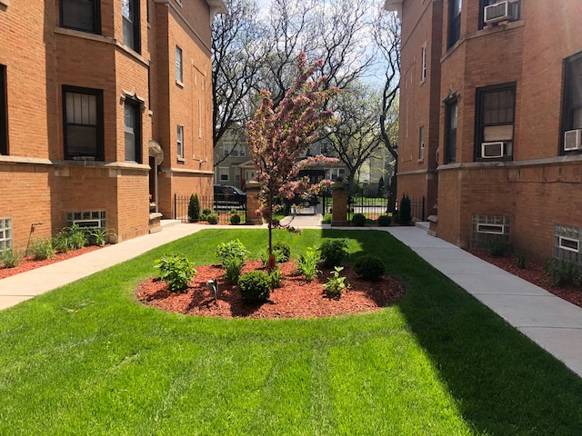 a yard with a tree in the middle of a building