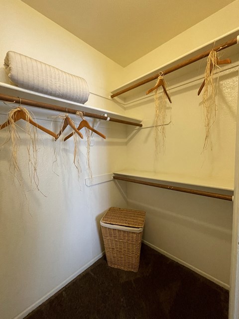 The Woods Apartments